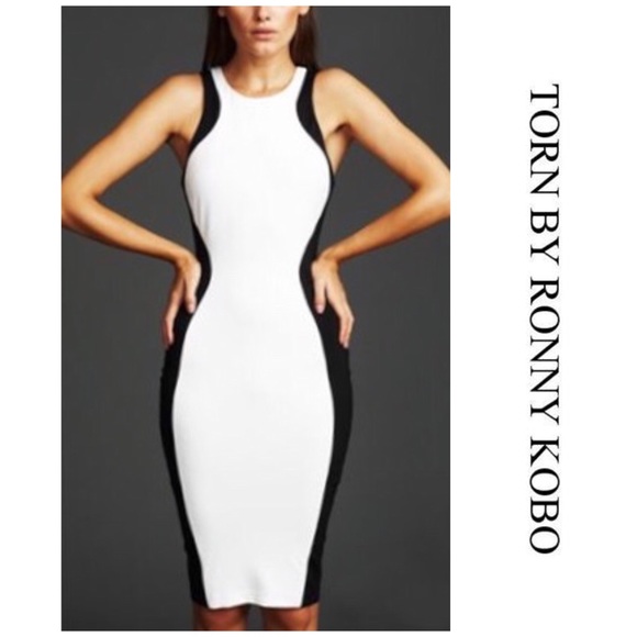 Torn by Ronny Kobo Dresses & Skirts - NWT Torn by Ronny Kobo Bodycon Colorblock Dress